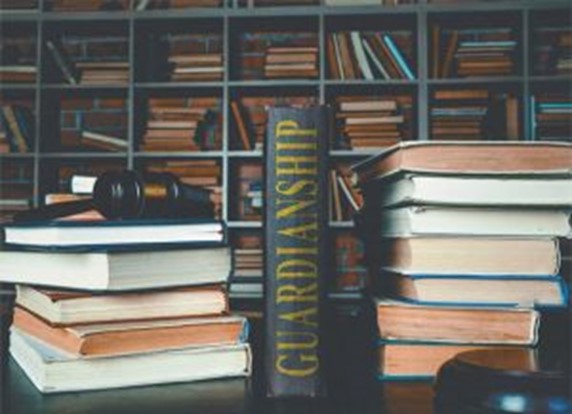 Several books with one titled "Guardianship"